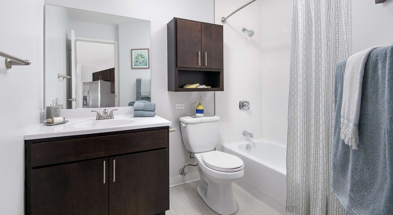Chicago Apartment: 840 N State St