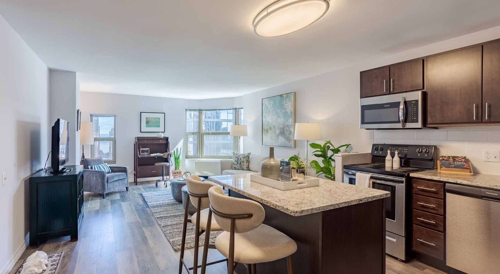Chicago Apartment: 840 N State St
