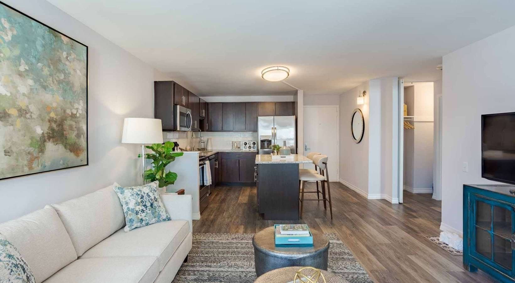 Chicago Apartment: 840 N State St