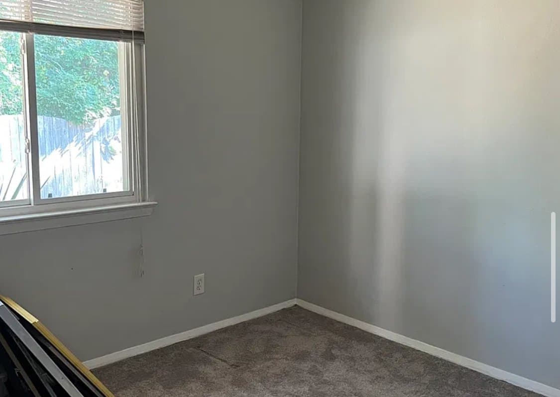 Virginia Beach House: 400 Pallets Rd