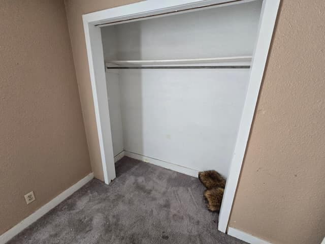 Jacksonville House: 201 N Gray St