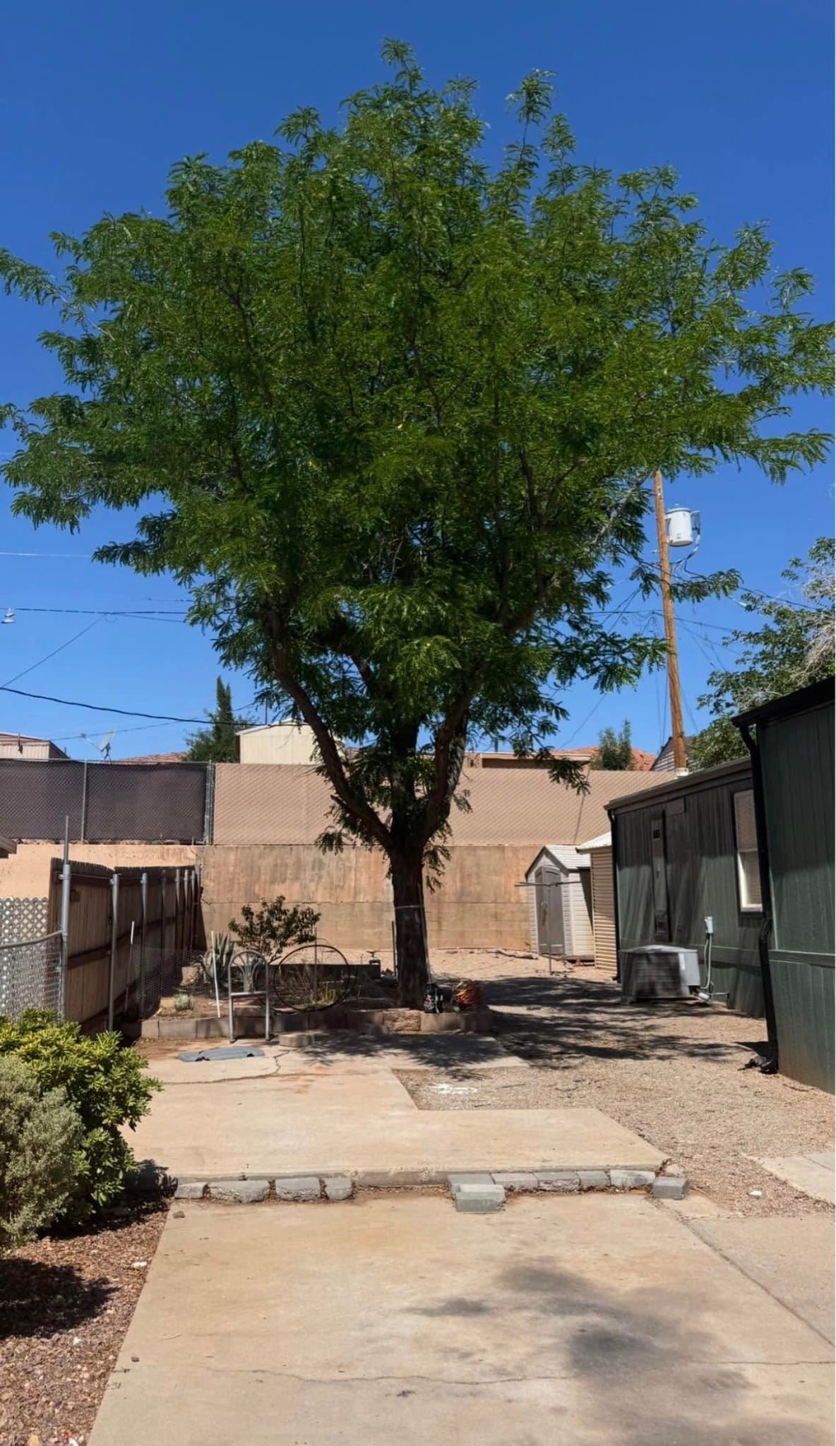 St George House: 733 N 1100 E