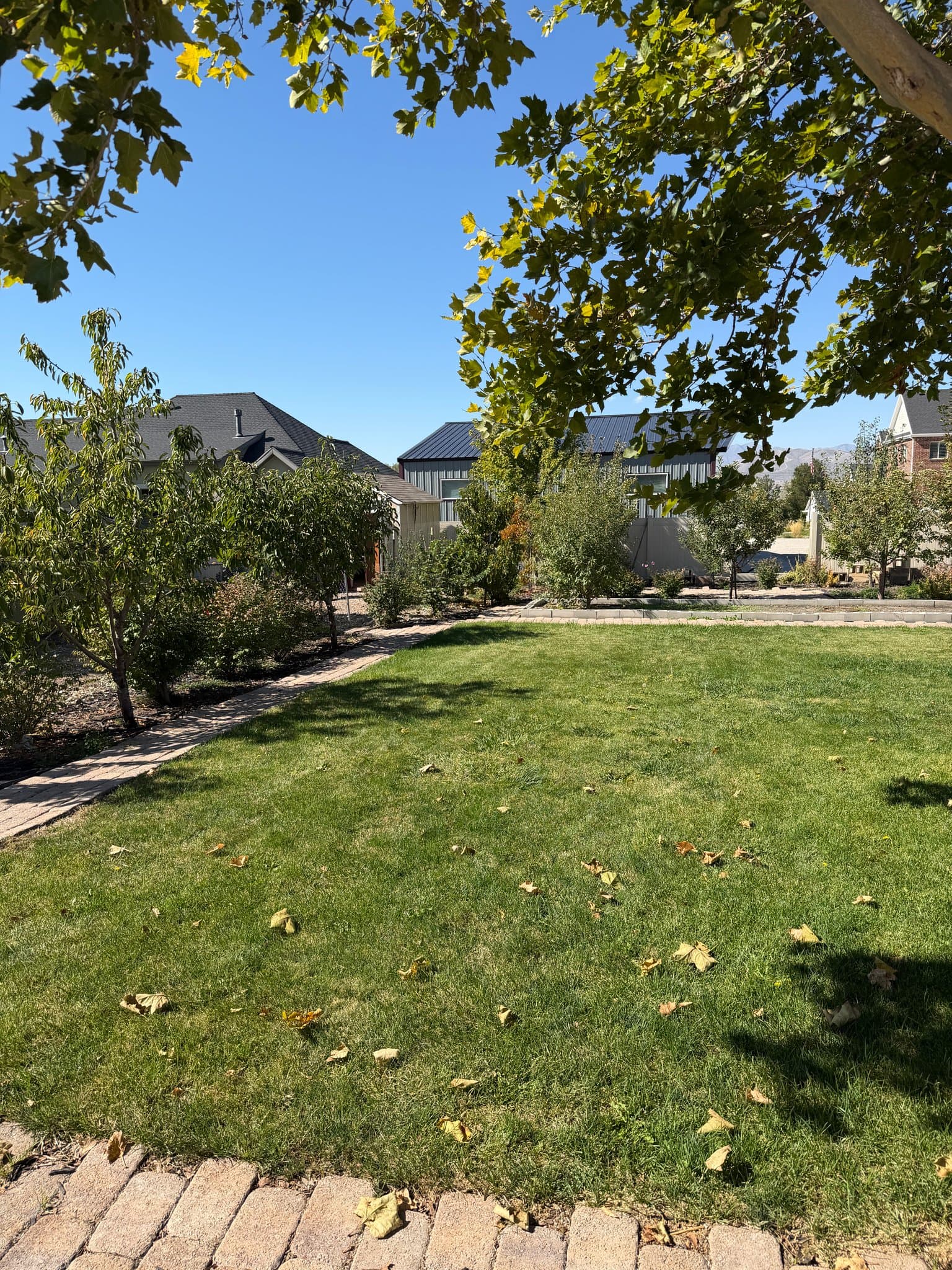 Lehi Multiplex: 1035 N 500 W