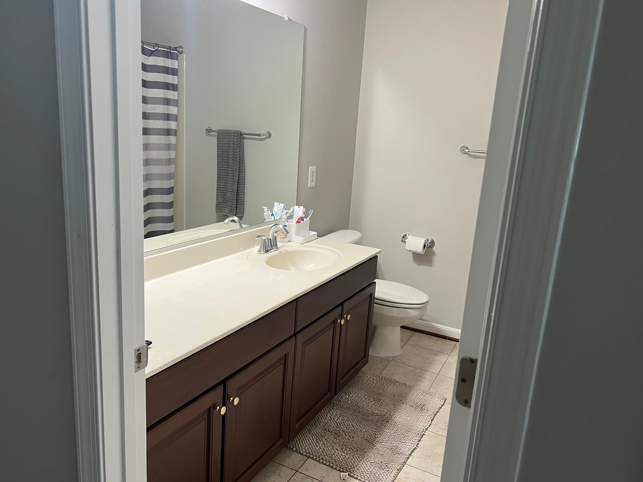 Ashburn Townhome: 22691 Flowing Spring Sq