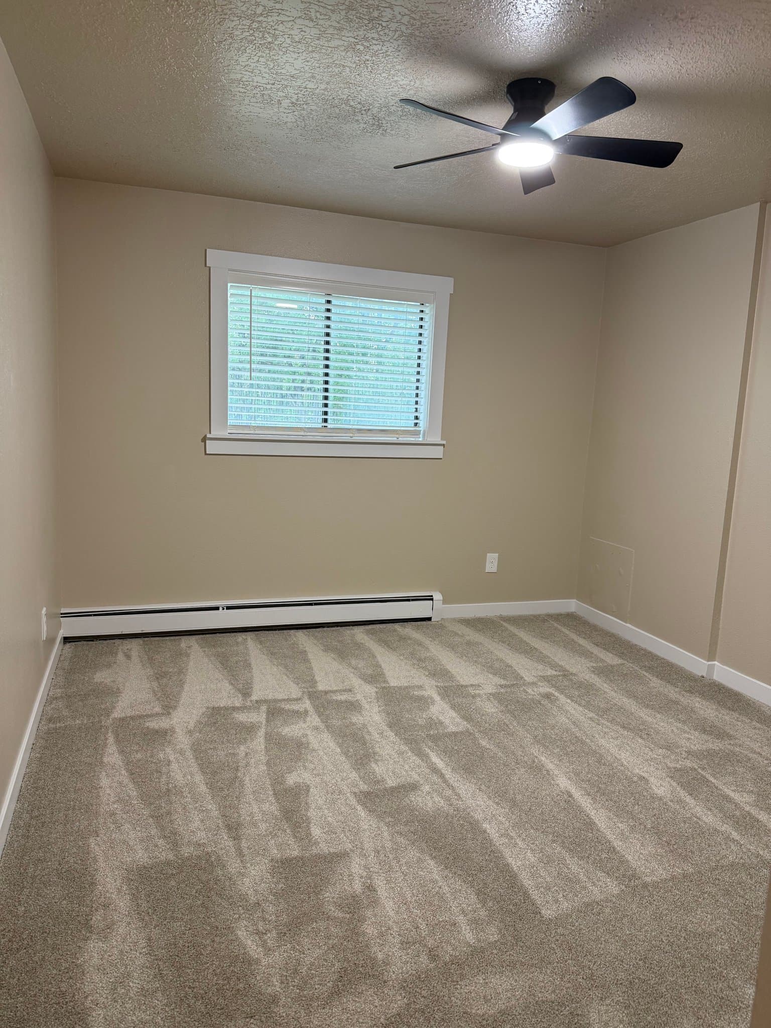 Springville Single Room: 647 Swenson Ave