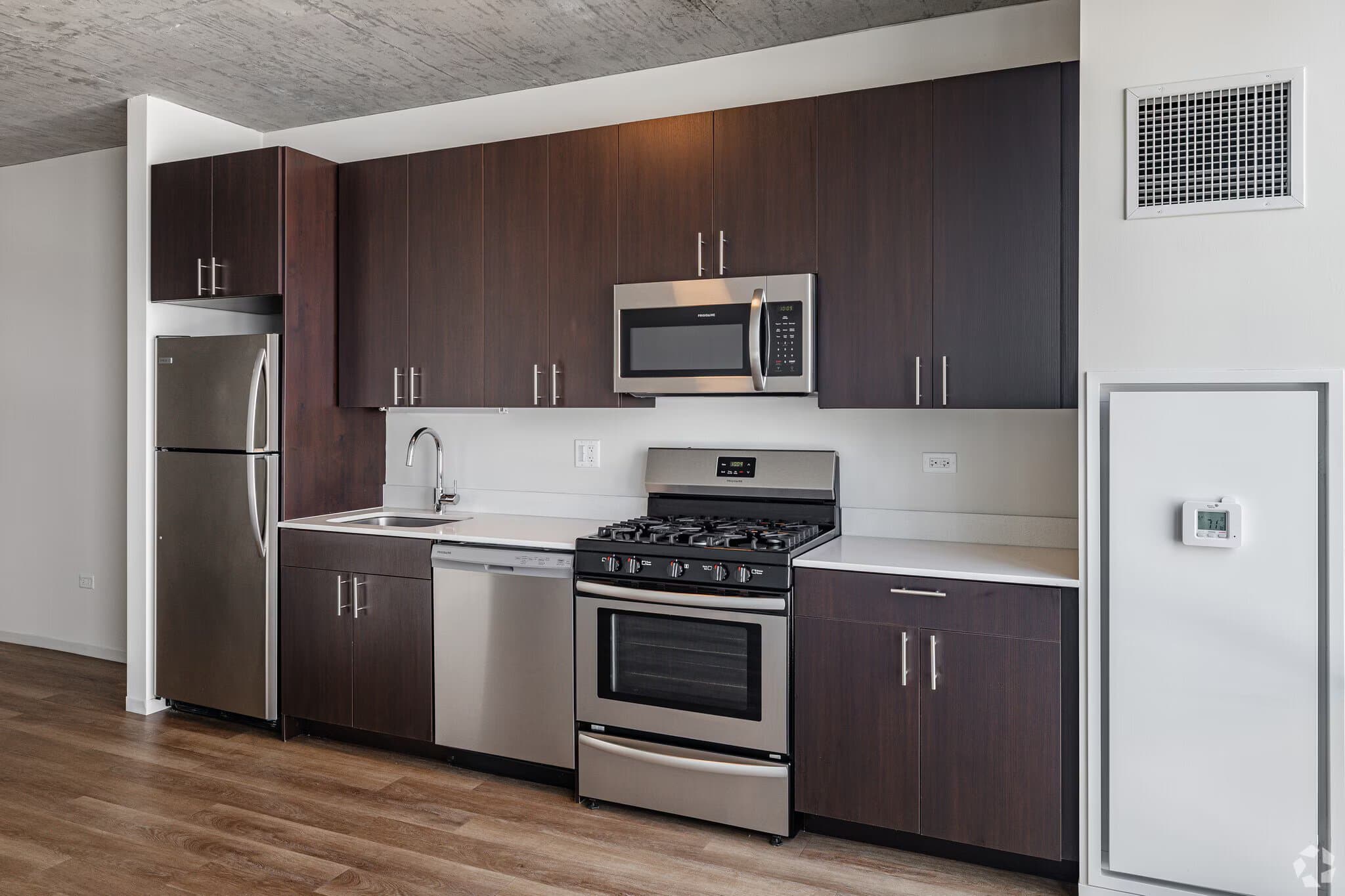 Chicago Condo: 1309 South Wabash Avenue
