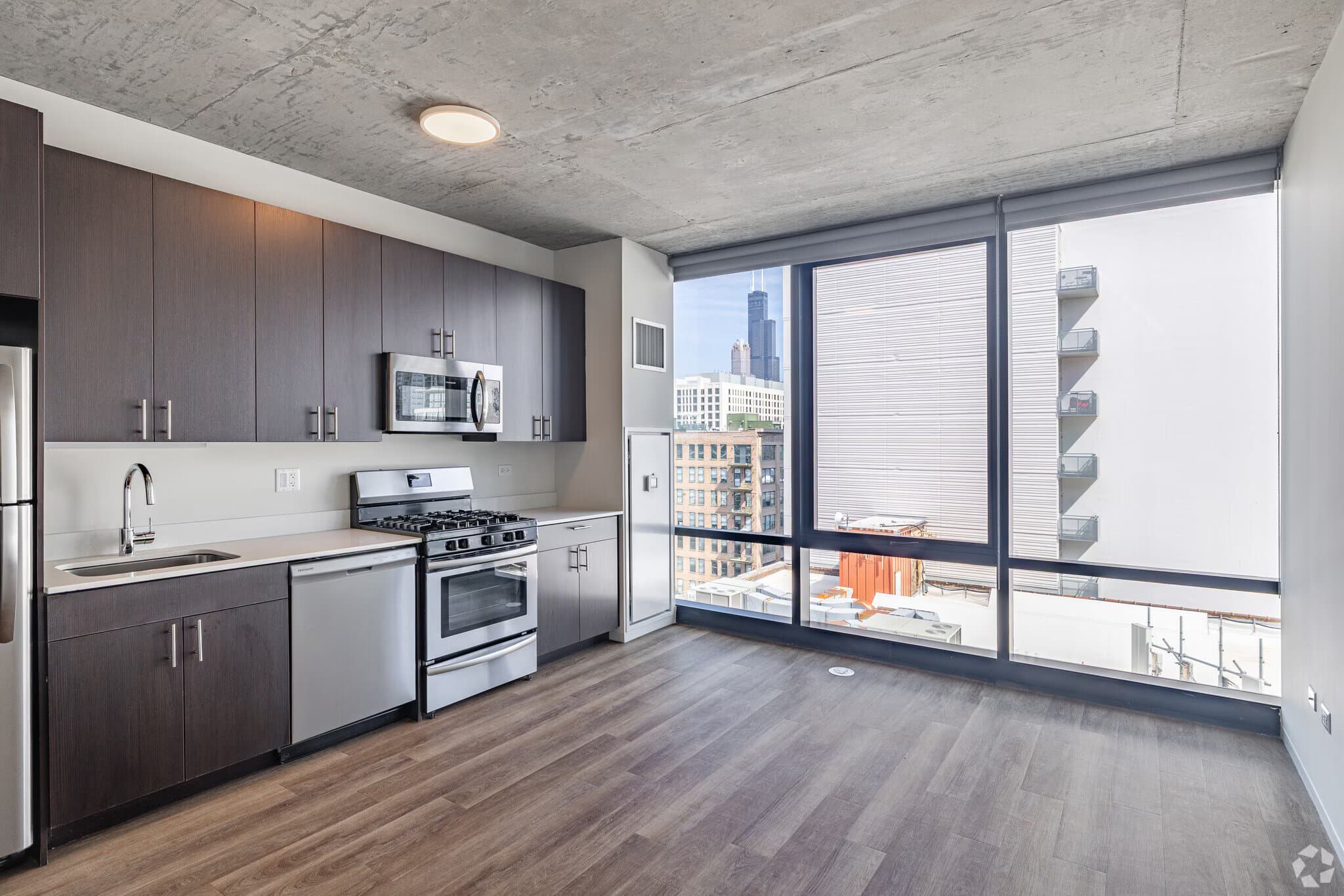 Chicago Condo: 1309 South Wabash Avenue
