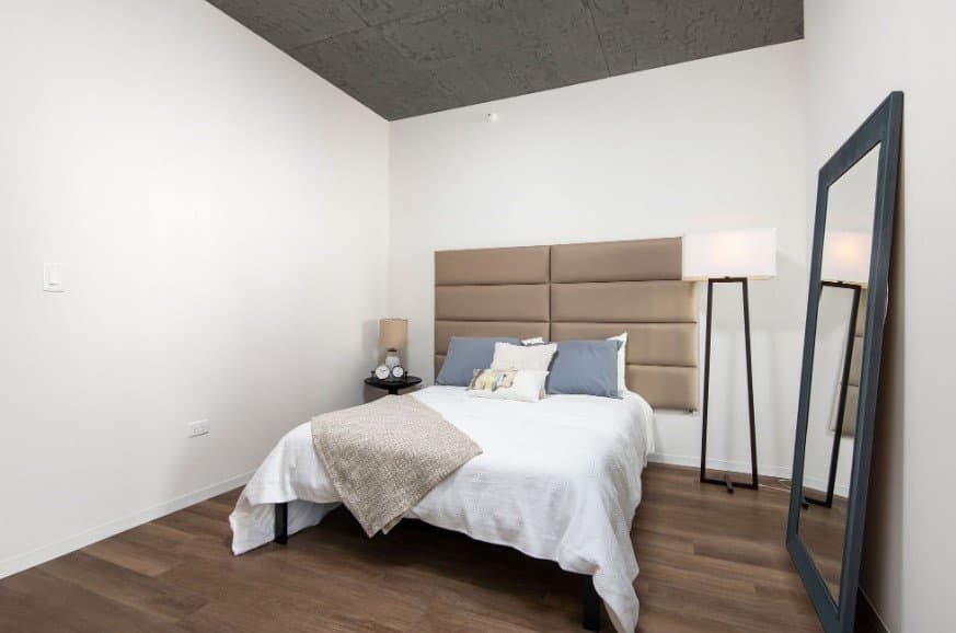 Chicago Condo: 1309 South Wabash Avenue