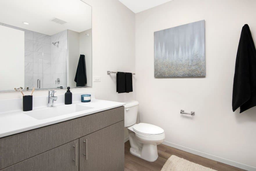 Chicago Condo: 1309 South Wabash Avenue