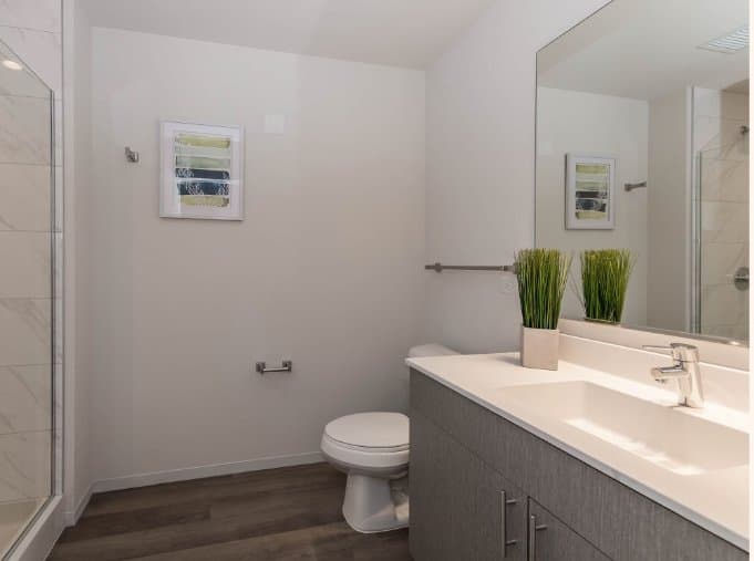 Chicago Condo: 1309 South Wabash Avenue