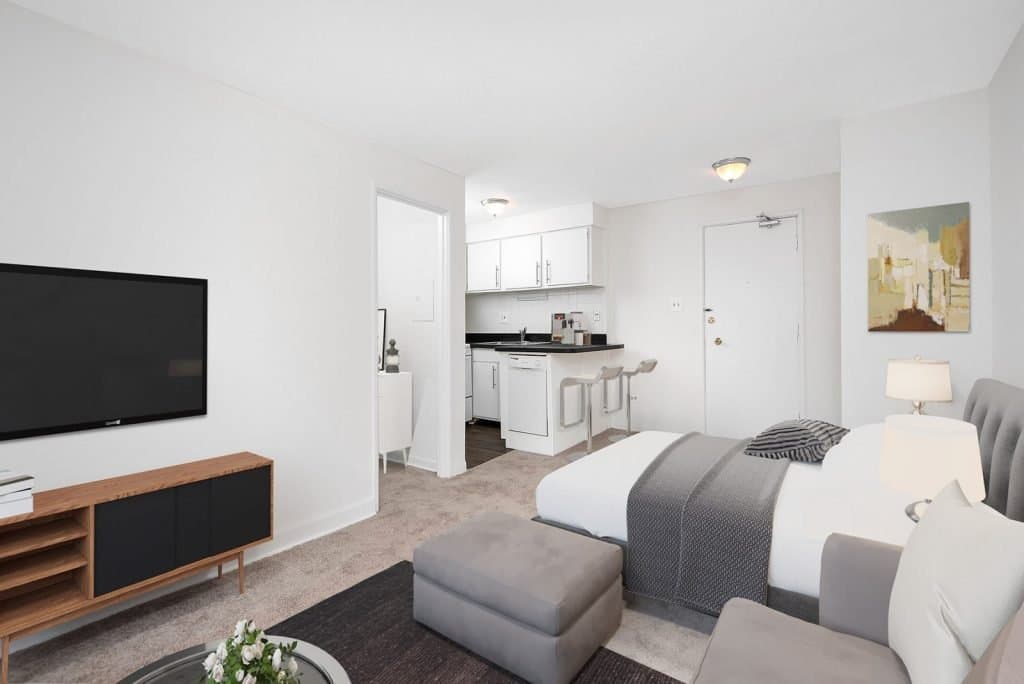 Chicago Condo: 501 West Wellington Avenue