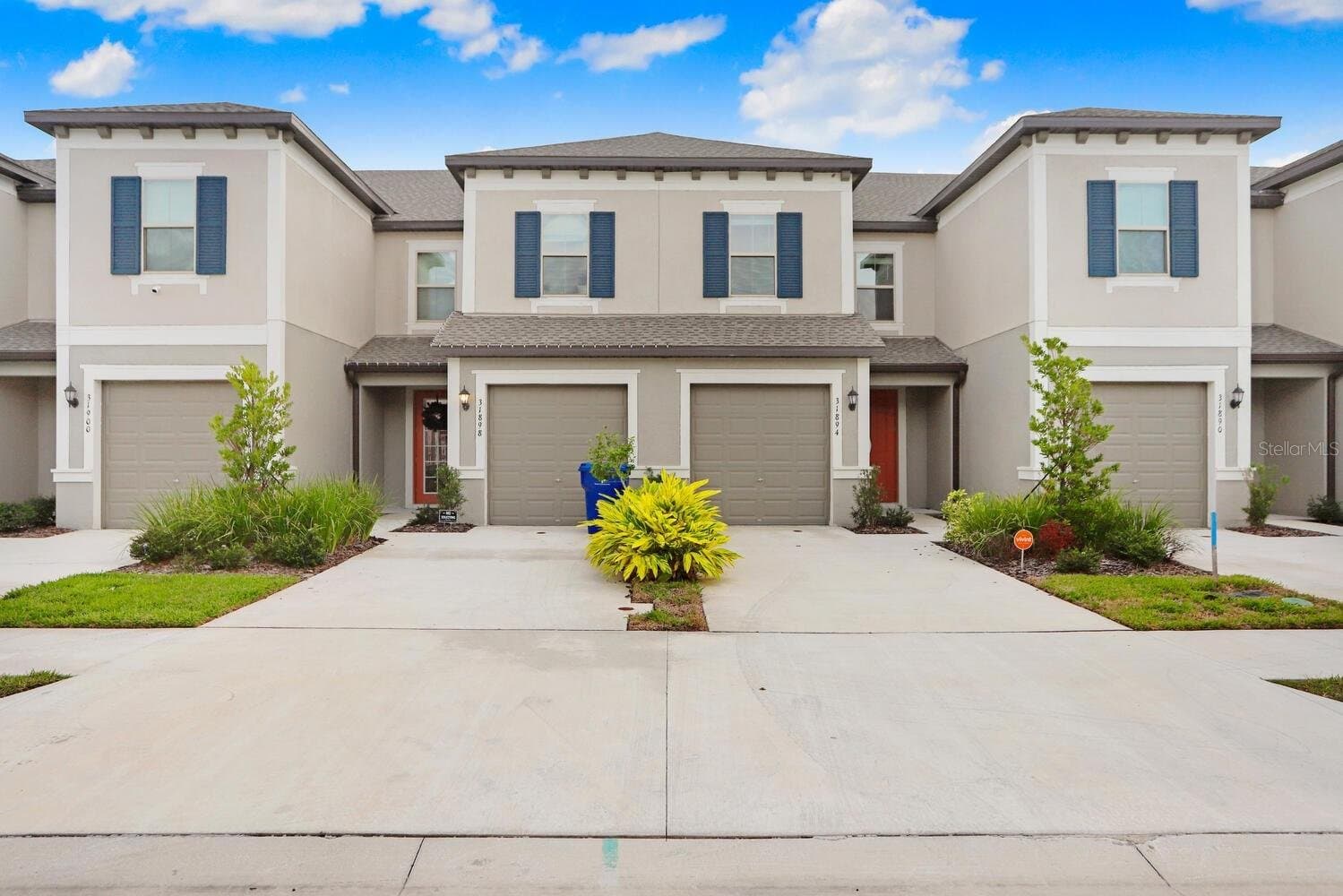 Wesley Chapel Townhome: 31894 Blue Passing Loop