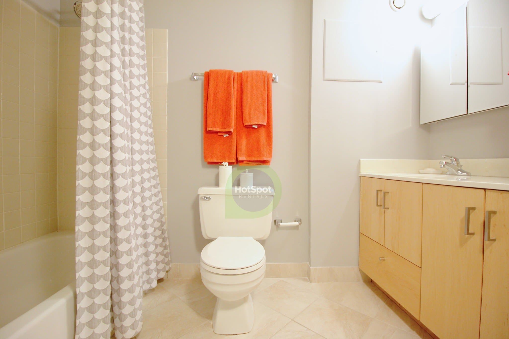 Chicago Condo: 39 West Chicago Avenue