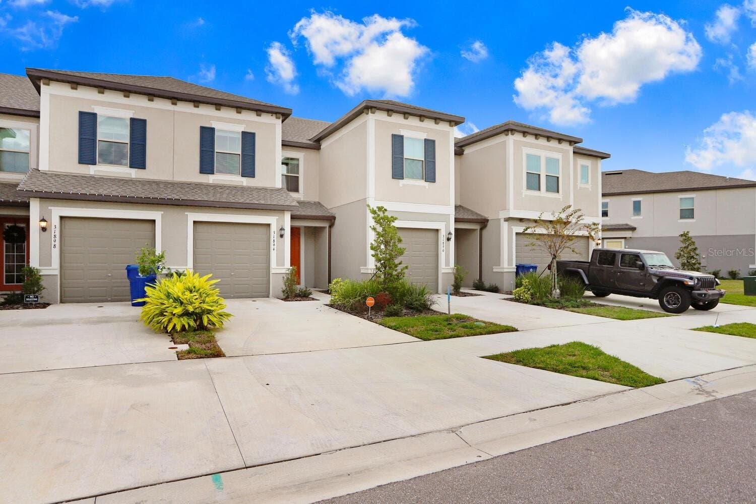 Wesley Chapel Townhome: 31894 Blue Passing Loop