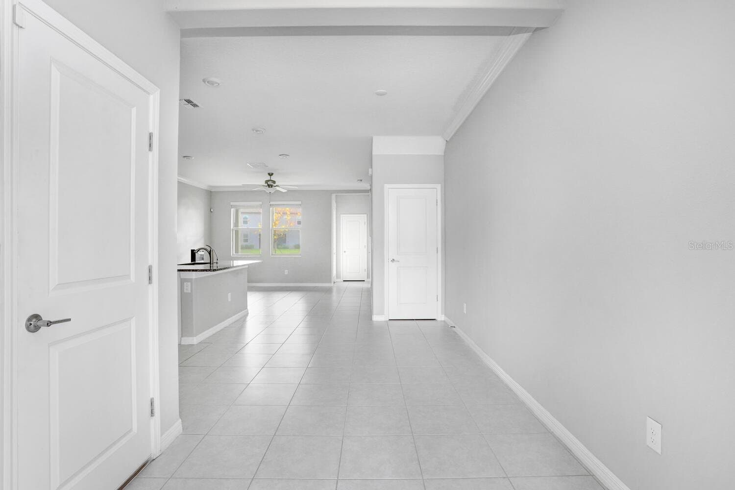 Wesley Chapel Townhome: 31894 Blue Passing Loop