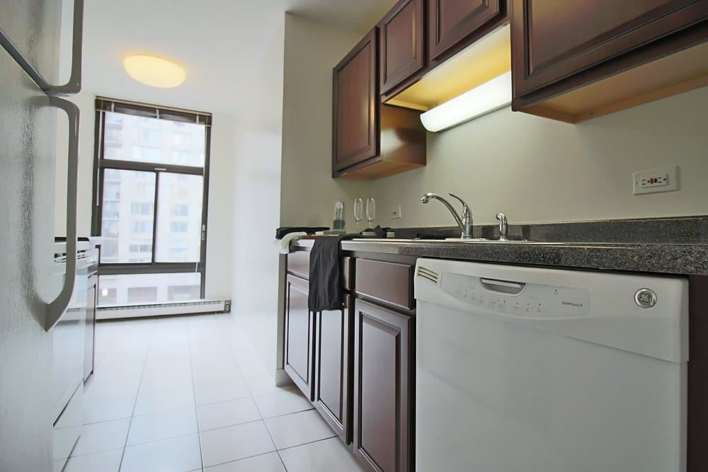 Chicago Condo: 52 E Scott St
