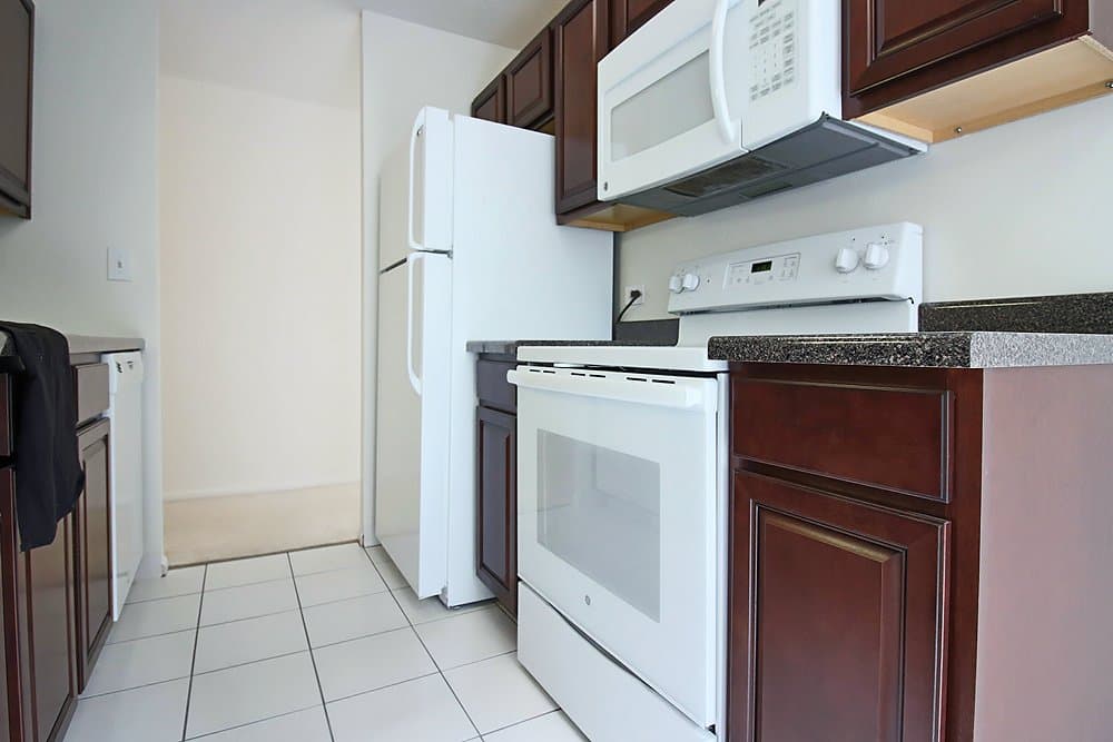 Chicago Condo: 52 E Scott St