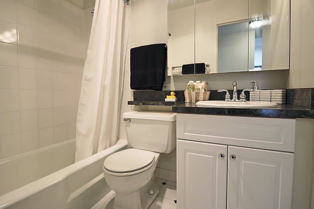 Chicago Condo: 52 E Scott St