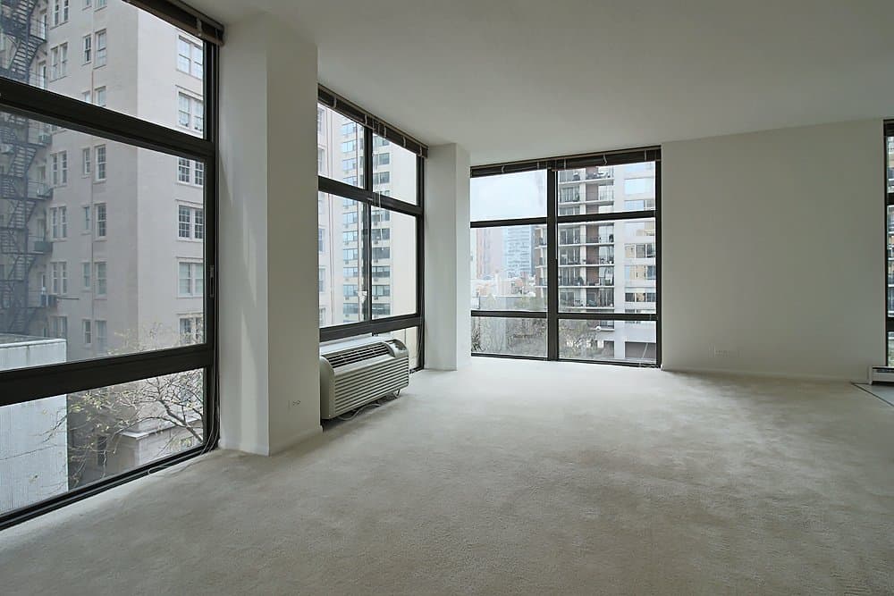 Chicago Condo: 52 E Scott St