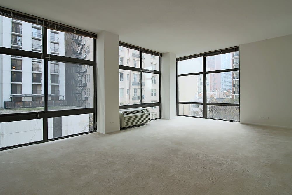 Chicago Condo: 52 E Scott St