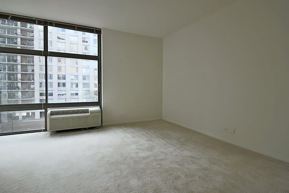 Chicago Condo: 52 E Scott St