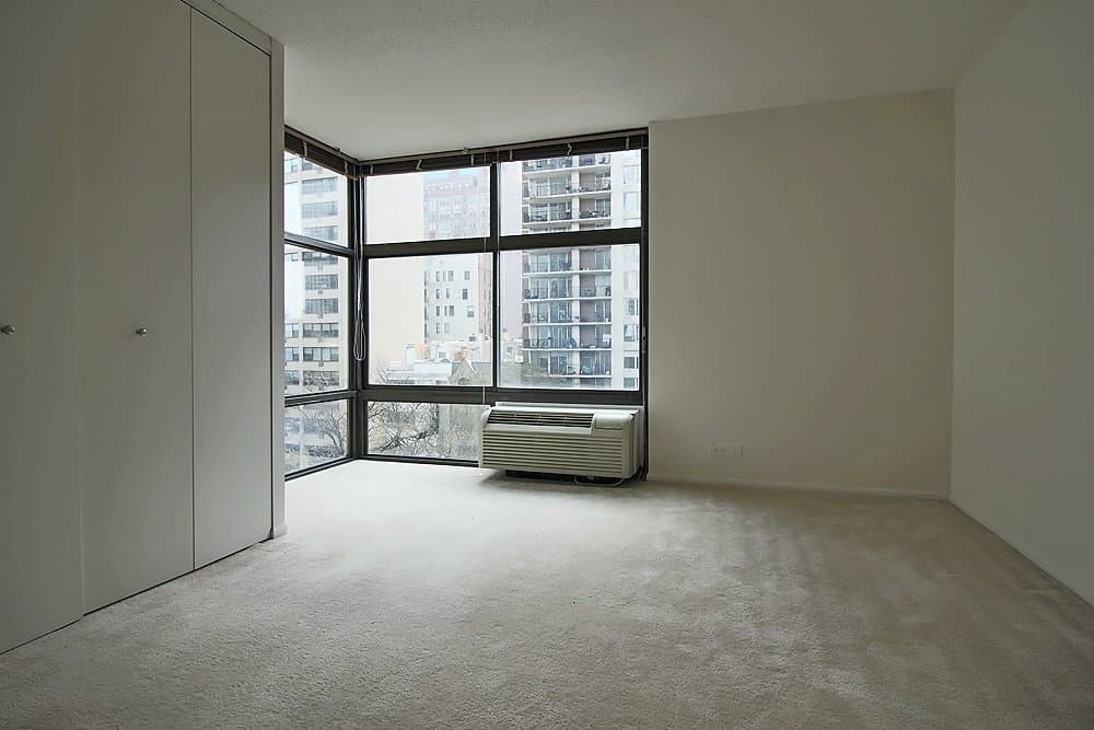 Chicago Condo: 52 E Scott St