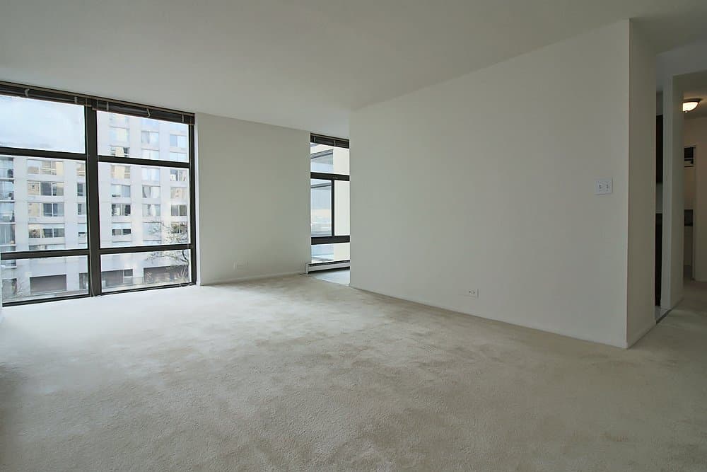 Chicago Condo: 52 E Scott St