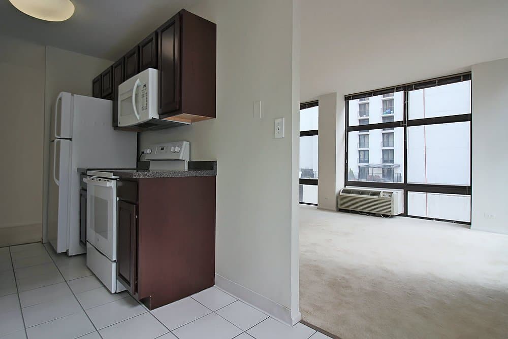 Chicago Condo: 52 E Scott St