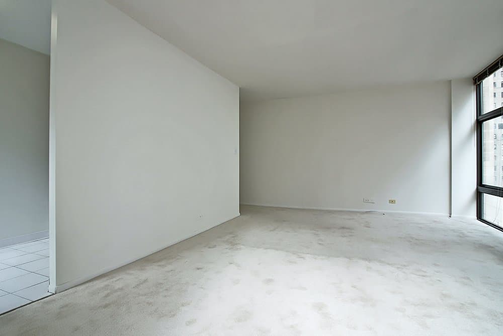Chicago Condo: 52 E Scott St