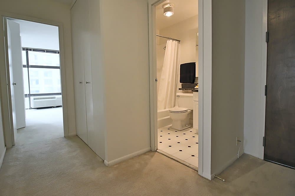 Chicago Condo: 52 E Scott St