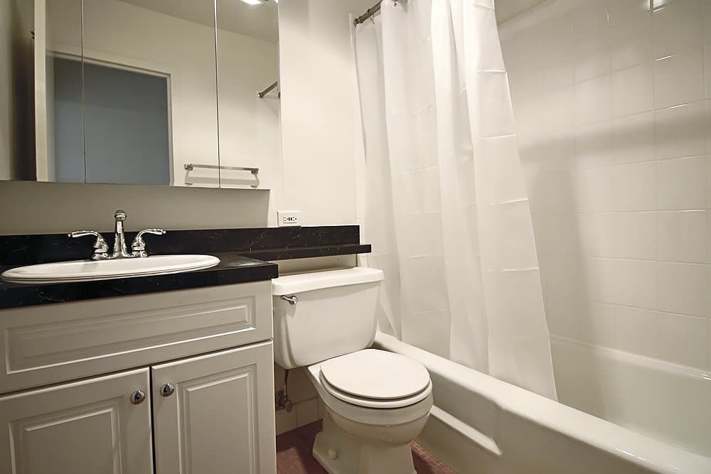 Chicago Condo: 52 E Scott St