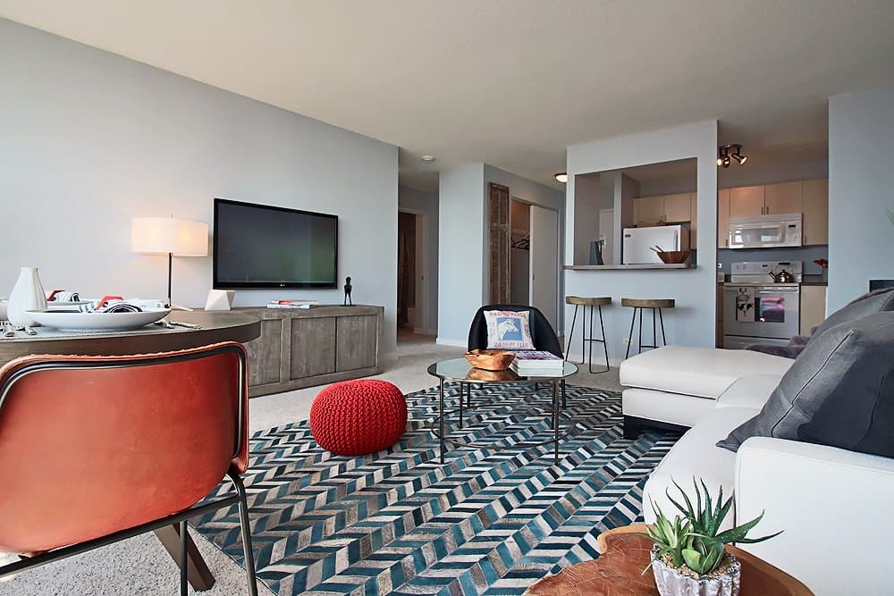 Chicago Condo: 1257 South Wabash Avenue