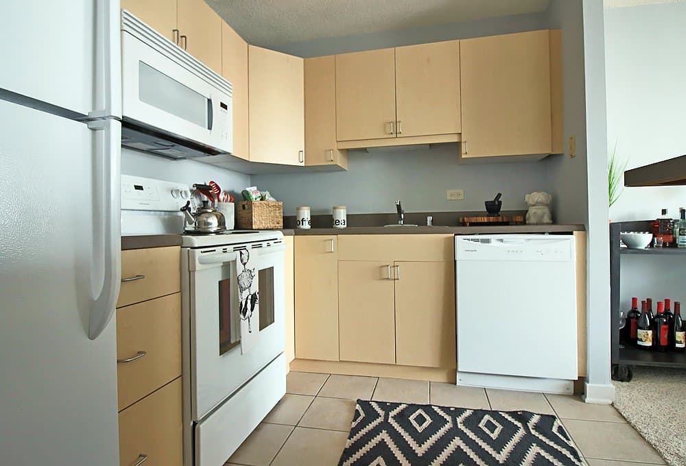 Chicago Condo: 1257 South Wabash Avenue