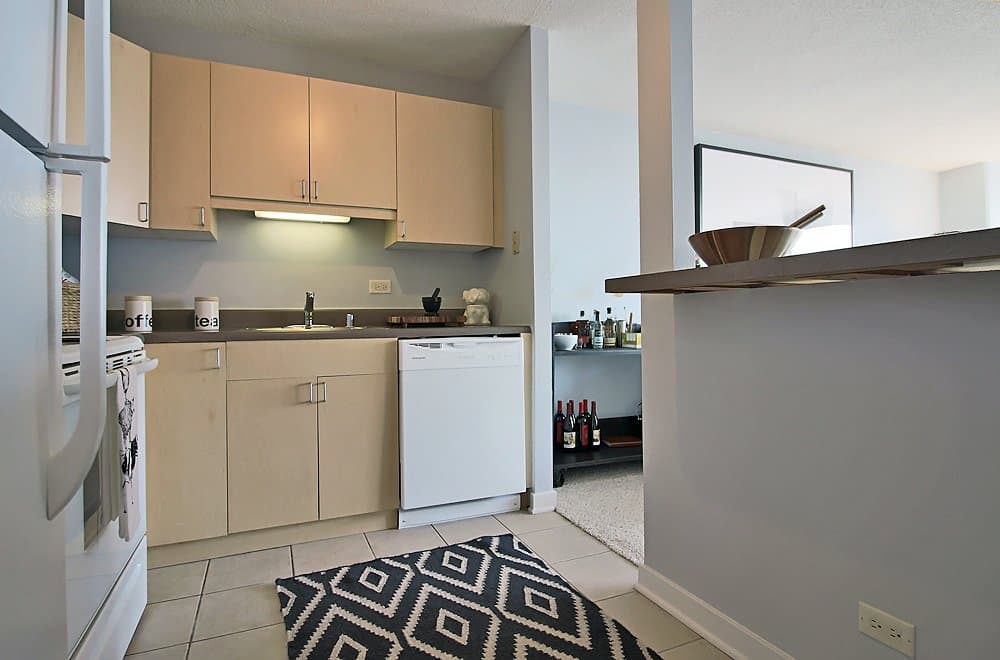 Chicago Condo: 1257 South Wabash Avenue