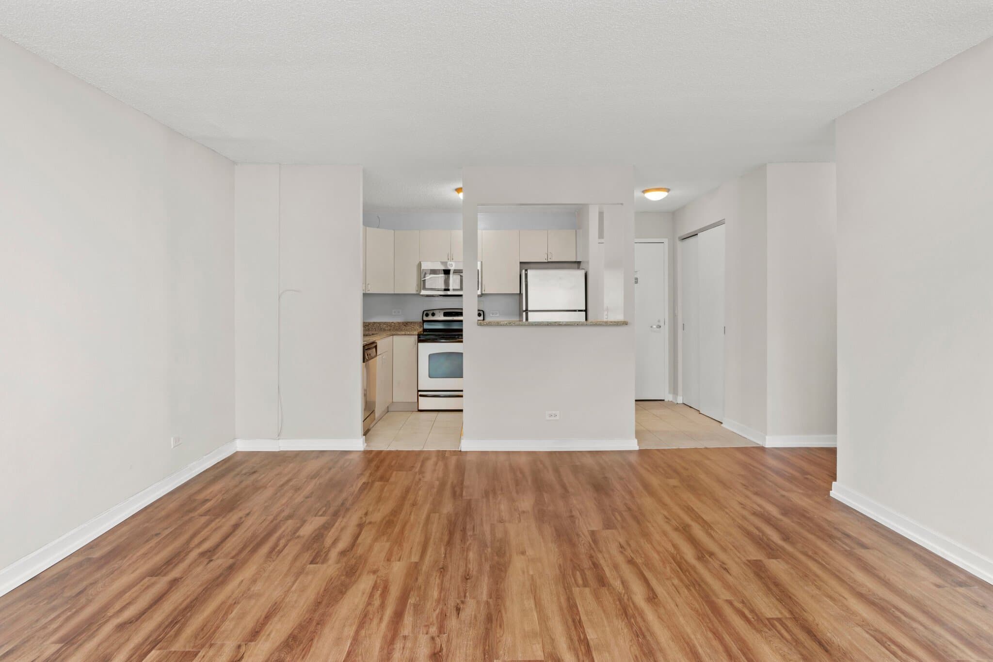 Chicago Condo: 1257 South Wabash Avenue