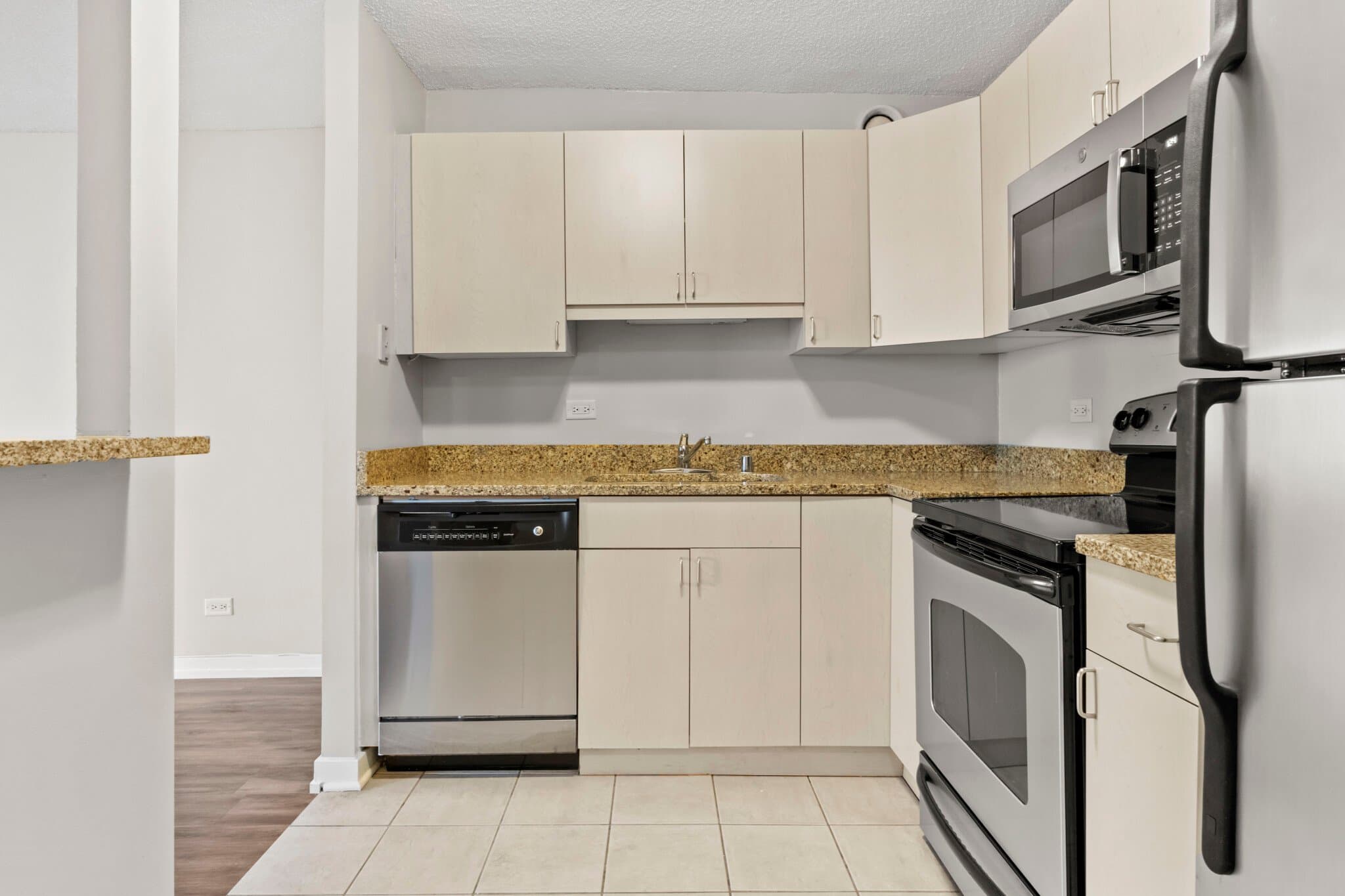 Chicago Condo: 1257 South Wabash Avenue