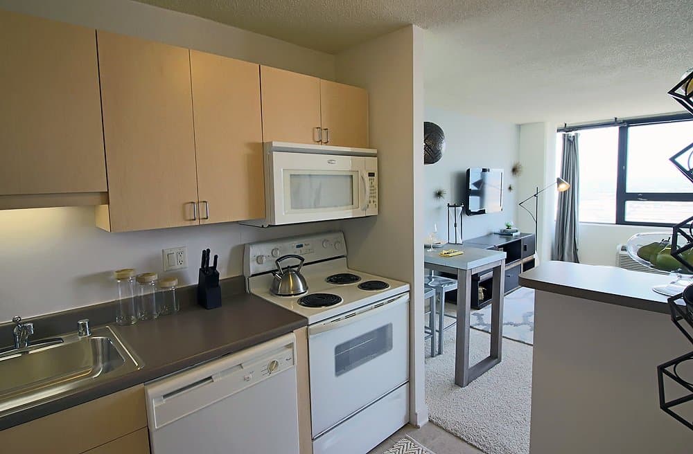 Chicago Condo: 1257 South Wabash Avenue