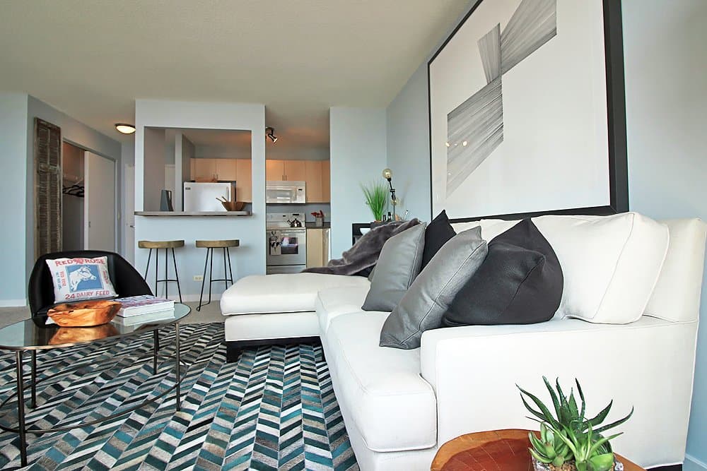 Chicago Condo: 1257 South Wabash Avenue