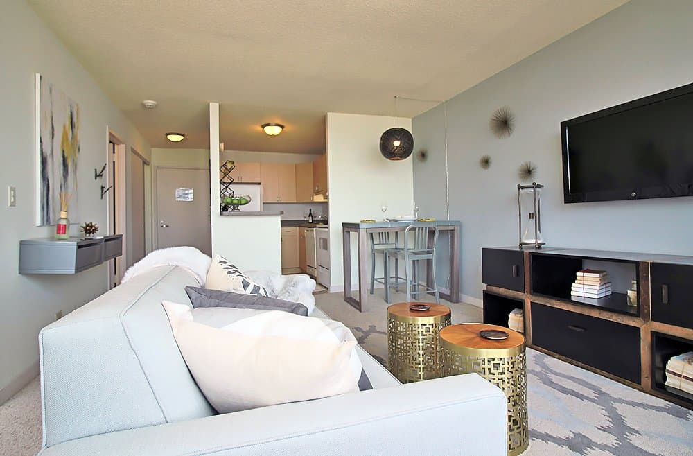 Chicago Condo: 1257 South Wabash Avenue