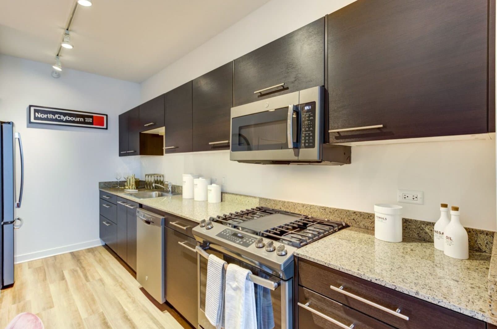 Chicago Condo: 1513 North Hudson Avenue