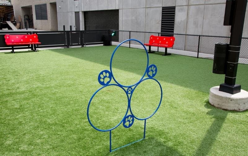 Chicago Condo: 1513 North Hudson Avenue