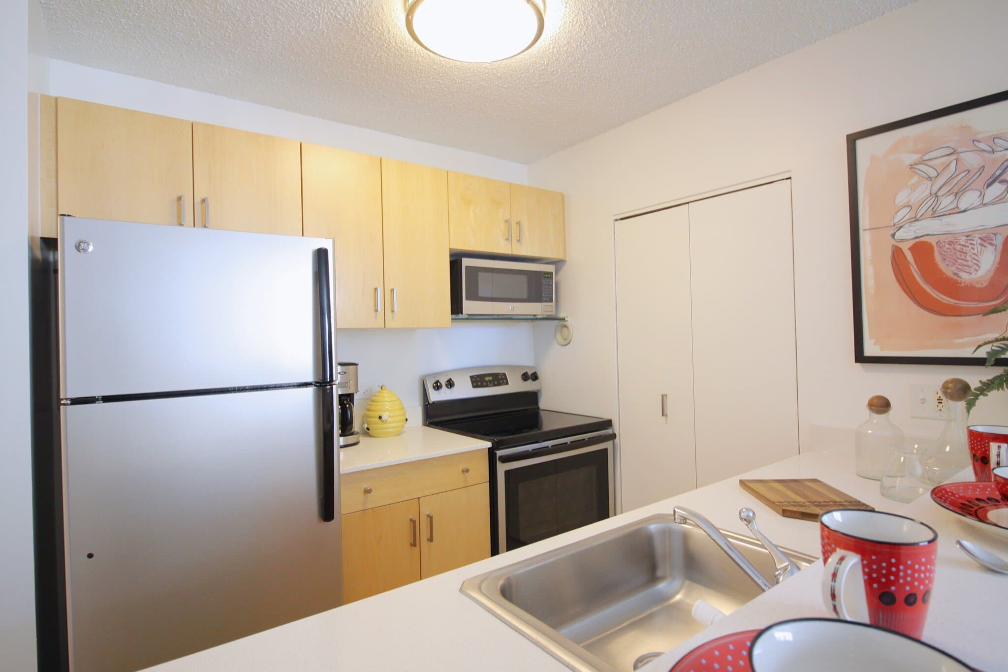 Chicago Condo: 51 West Chicago Avenue