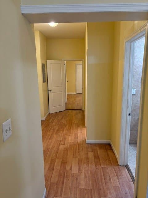 Philadelphia Multiplex: 1206 W. Airdrie Street
