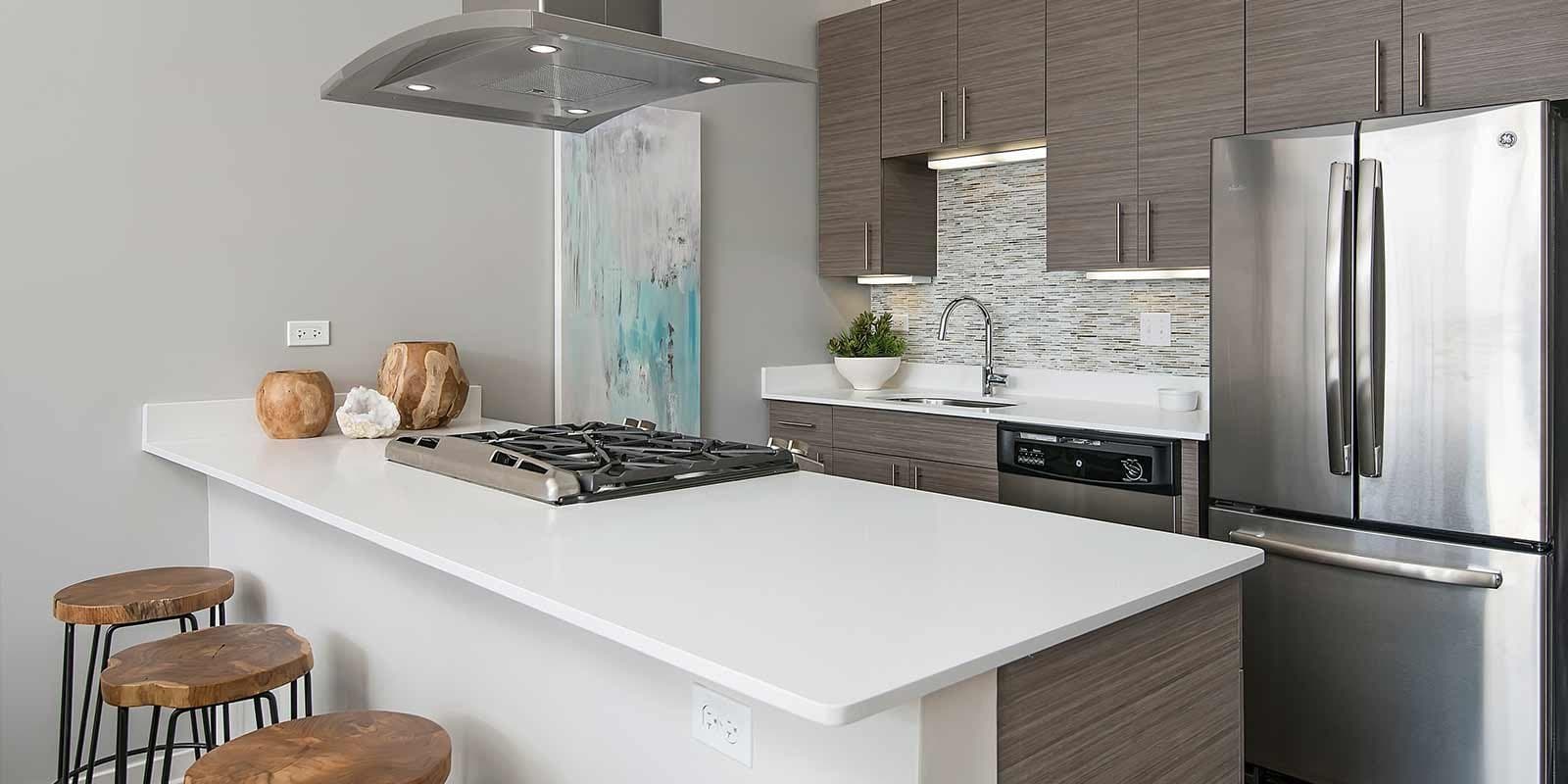 Chicago Condo: 1149 West Madison Street