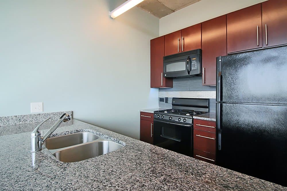 Chicago Condo: 1309 South Wabash Avenue