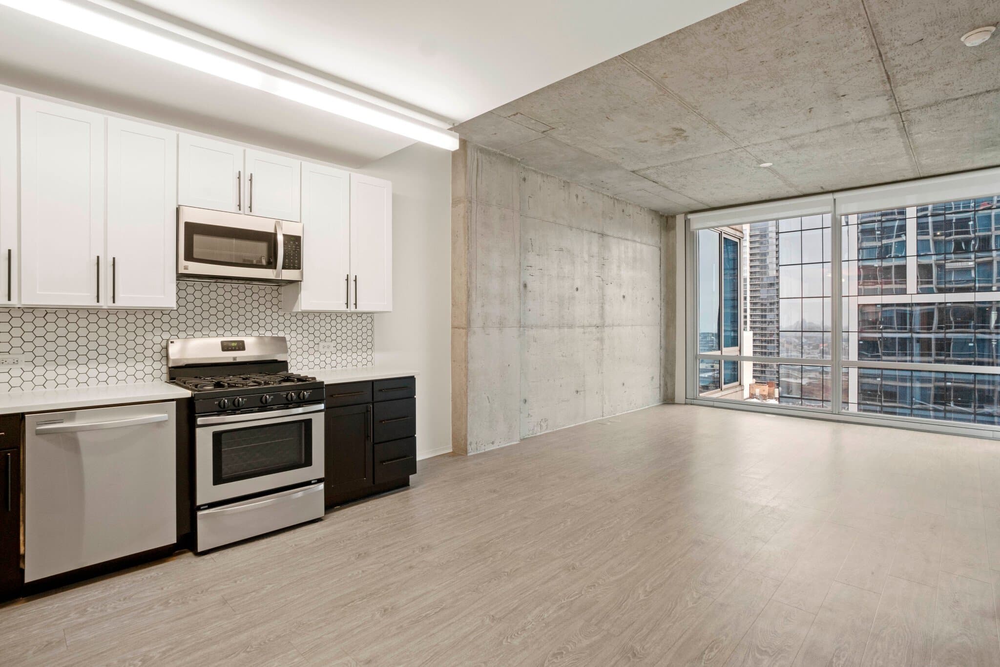Chicago Condo: 1309 South Wabash Avenue