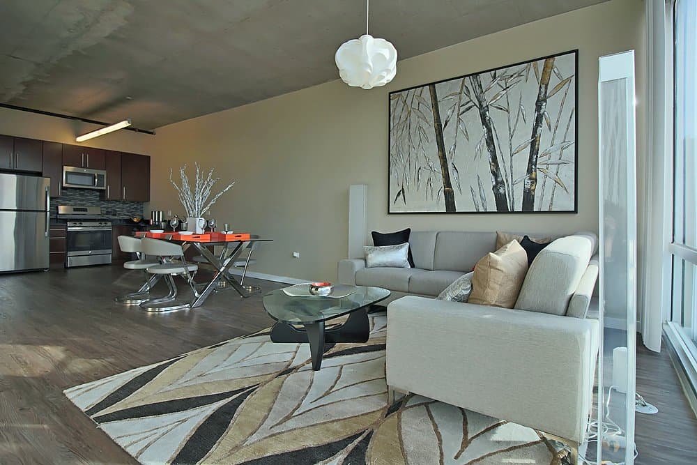 Chicago Condo: 1309 South Wabash Avenue