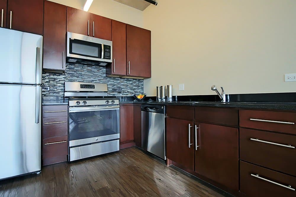 Chicago Condo: 1309 South Wabash Avenue
