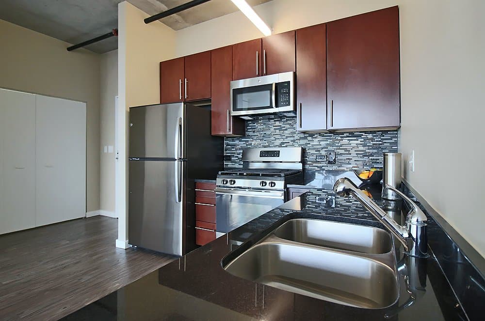 Chicago Condo: 1309 South Wabash Avenue