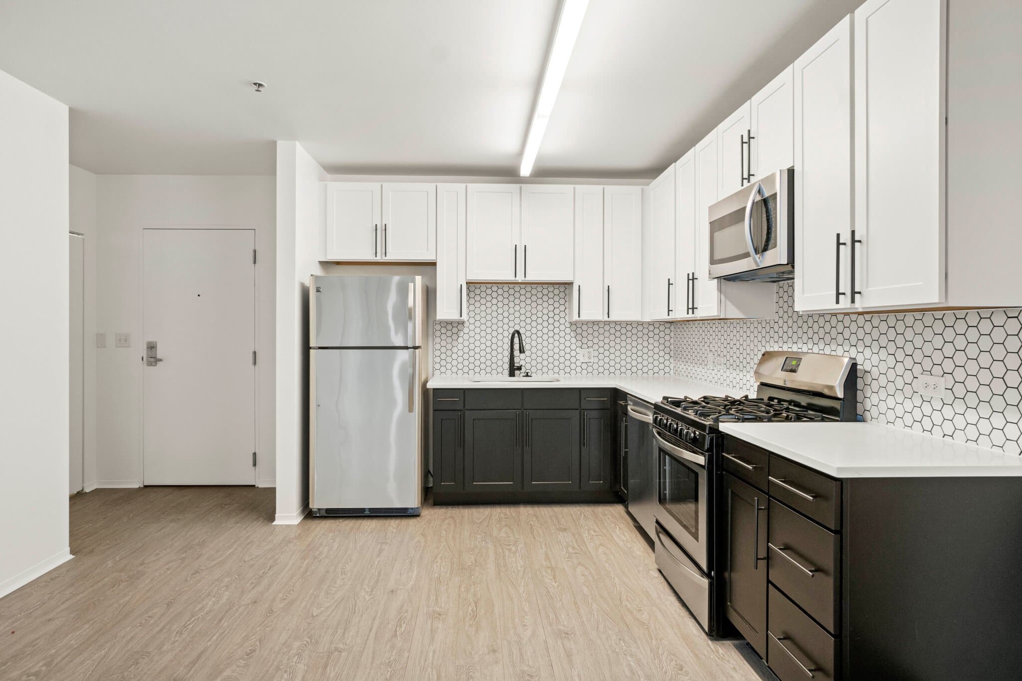 Chicago Condo: 1309 South Wabash Avenue